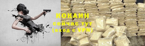Альфа ПВП Горняк