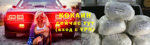 Альфа ПВП Горняк