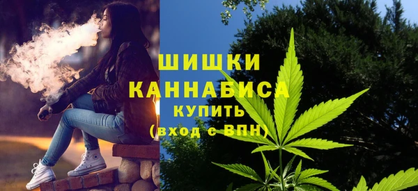 прущий лед Горно-Алтайск
