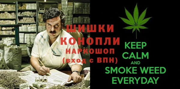 Альфа ПВП Горняк