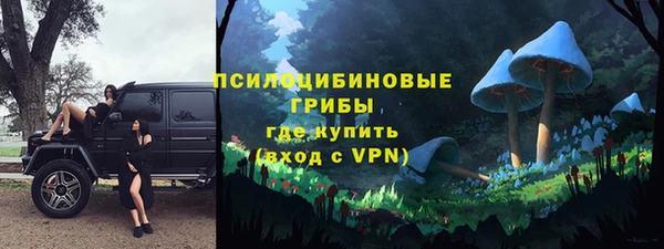 Альфа ПВП Горняк