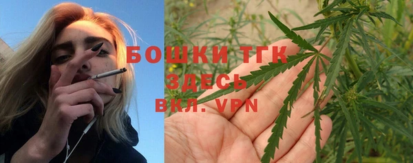 Альфа ПВП Горняк