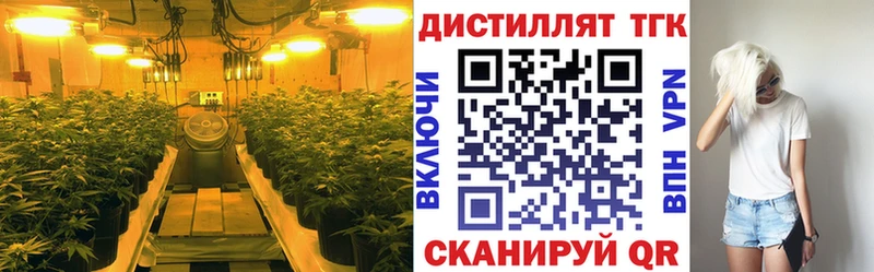 ТГК концентрат  Волгодонск 