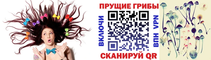 где найти наркотики  Волгодонск  Псилоцибиновые грибы Magic Shrooms 